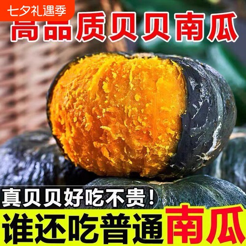 贝贝南瓜正宗板栗味小南瓜
