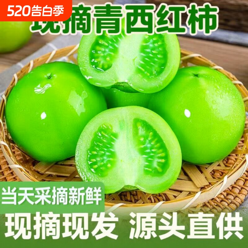 青番茄绿色西红柿新鲜大番茄生未成熟普罗旺斯柿子自然长非圣女果