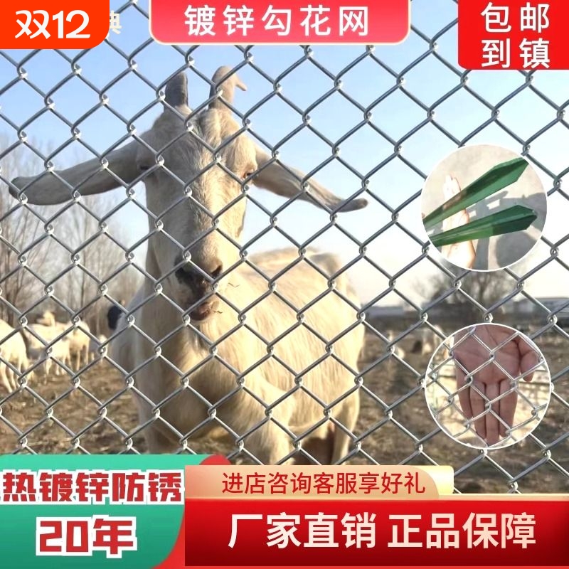 热镀锌铁丝网围栏网养鸡