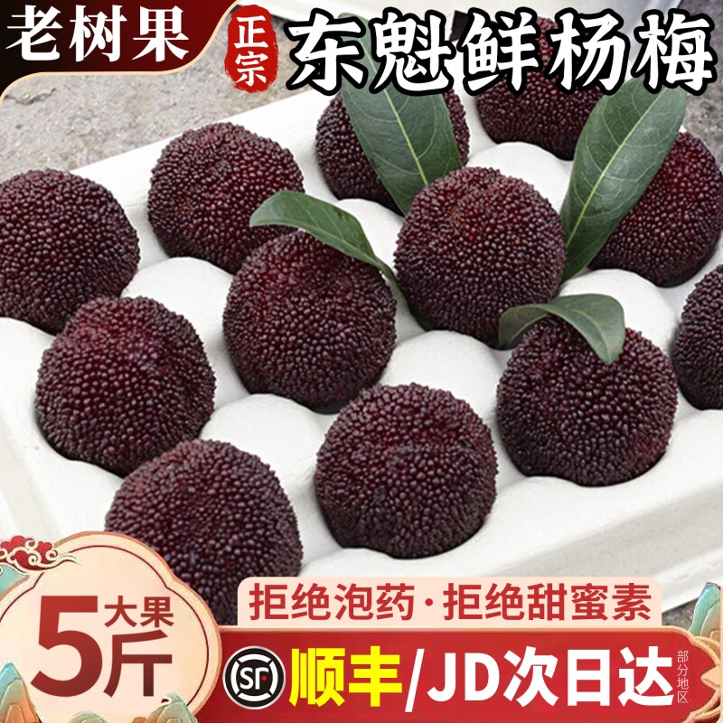现货正宗东魁鲜杨梅鲜果现摘应当季新鲜水果仙居杨梅顺丰京东包邮