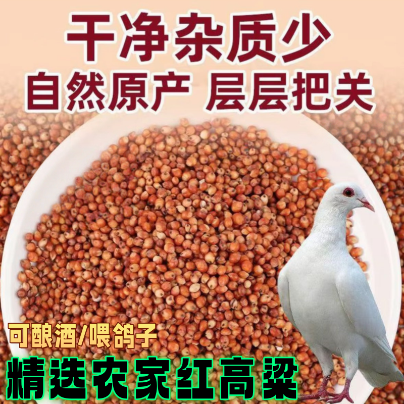 10斤红高粱带壳高粱酿酒专用颗粒饱满喂鸽子粮食鹦鹉仓鼠粮食包邮