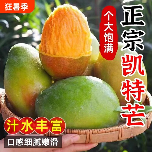 果园直发攀枝花凯特芒芒果9斤新鲜水果当季四川忙果甜青皮大澳芒