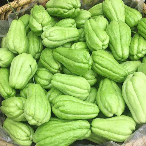 云南高山佛手瓜新鲜现摘农家蔬菜