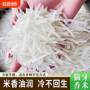井冈山长粒猫牙大米软糯晚稻现磨老人小孩爱吃米饭清香家用年货