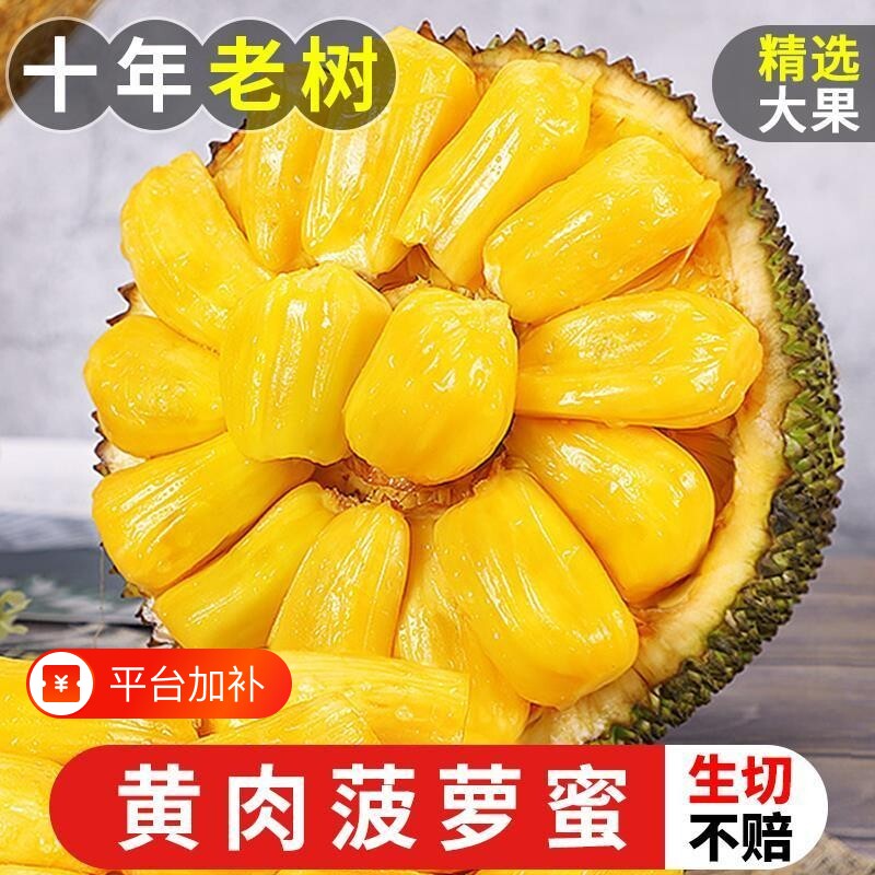 海南特产三亚菠萝蜜新鲜水果黄肉波罗蜜当季一整现摘整箱包邮红肉