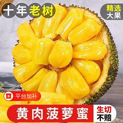 海南特产三亚菠萝蜜新鲜水果黄肉波罗蜜当季一整现摘整箱包邮红肉