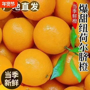湖北橙子秭归脐橙新鲜当季纽荷尔脐橙鲜橙非江西赣南的脐橙年货节