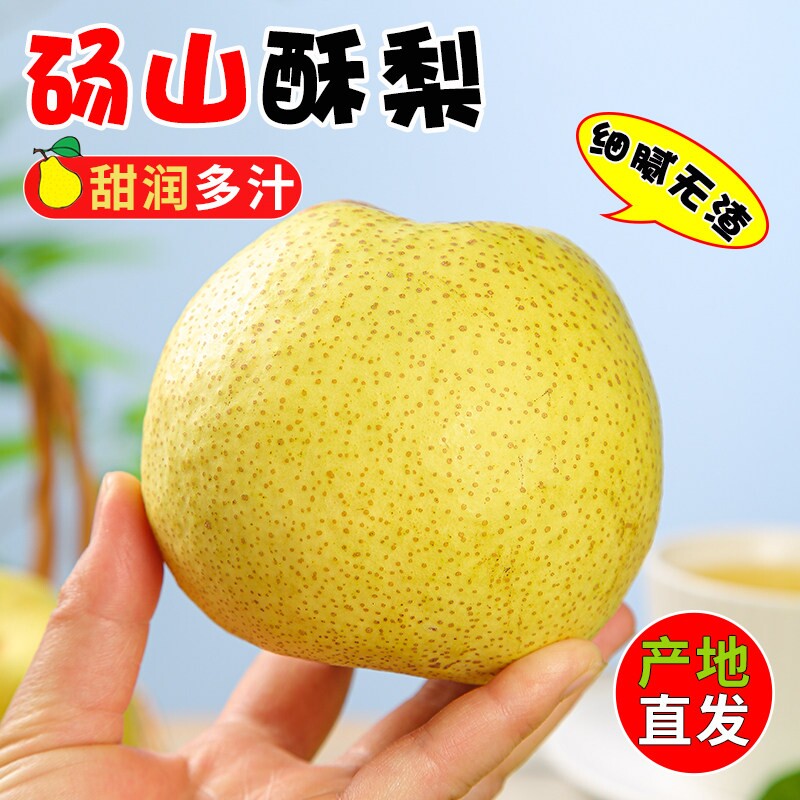 【2026新果】正宗安徽砀山酥梨应季新鲜水果薄皮脆甜梨子雪梨整箱