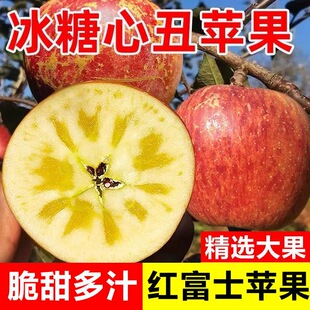 包邮 正宗山西运城万荣高原红富士脆甜冰糖心苹果当季 新鲜水果整箱