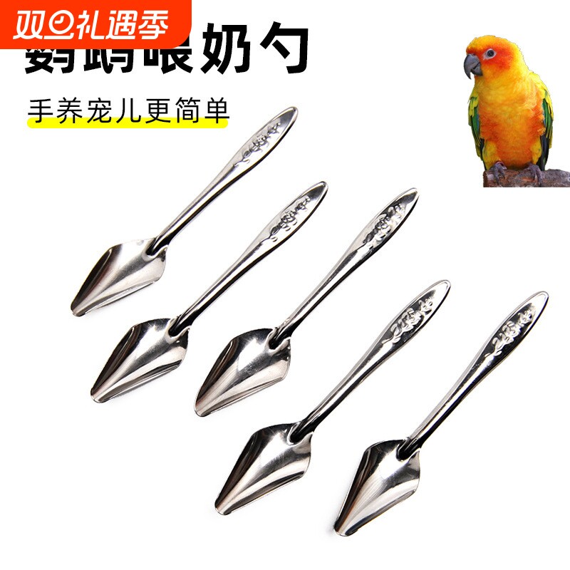喂奶雏鸟喂奶勺子玄凤不锈钢八哥喂水喂奶虎皮勺子鹦鹉喂食器幼鸟