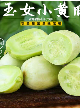小黄瓜新鲜拇指黄瓜青瓜手指迷你水果金童玉女5斤装正宗