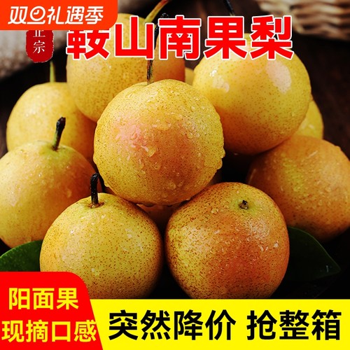 南果梨5斤包邮新鲜|超1000次加购