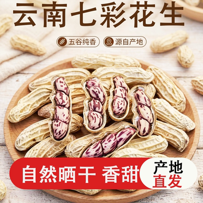 新鲜云南特产七彩花生晒干新货生带壳干货健康自然食品油炸独立
