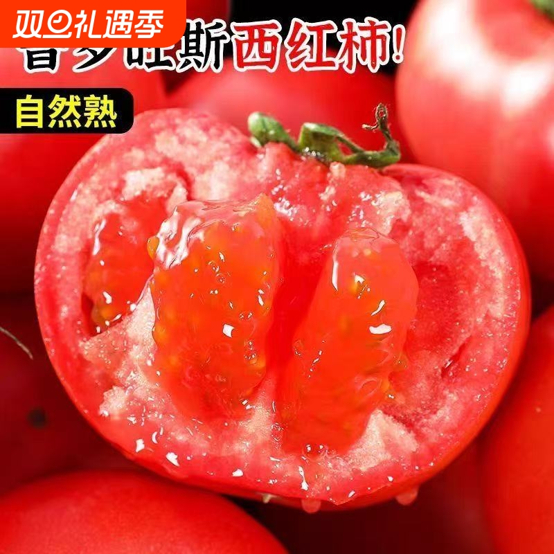 普罗旺斯西红柿现摘现发沙瓤番茄
