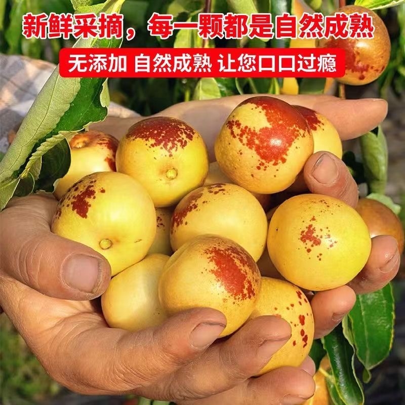 商超供货品质大荔冬枣