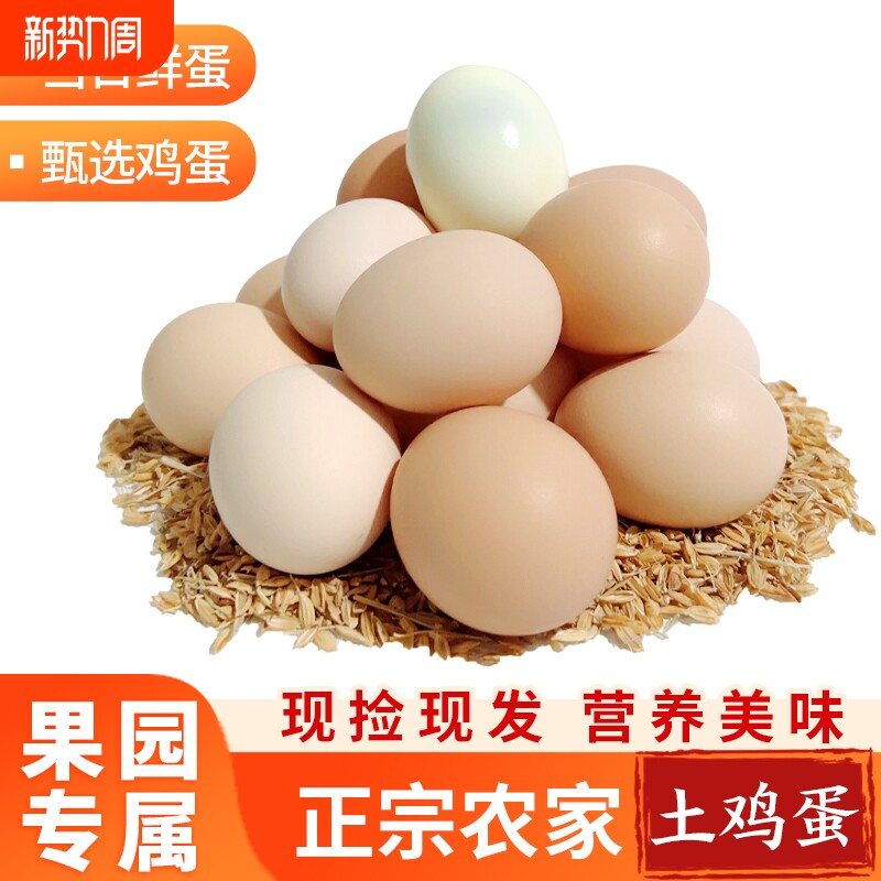 新鲜鸡蛋农家散养正宗土鸡蛋虫草谷物喂养鲜鸡蛋现捡现发50g/枚