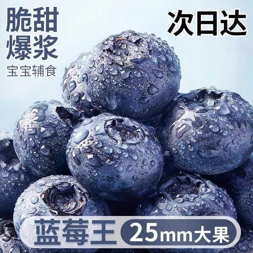 云南花香蓝莓新鲜水果当季鲜果现摘L25大果宝宝辅食顺丰京东包邮