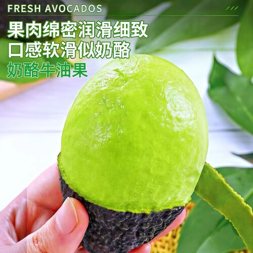 牛油果新鲜水果哈斯15个应当季大果宝宝辅食一级鳄梨时令整箱包邮