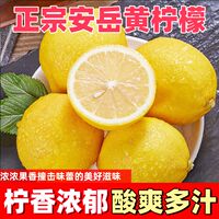 Anyue Yellow lemon fruit is a fresh fruit of the season. The fresh lemon yellow fruit is soaked in water, and the fresh fruit is directly grown. The whole box is freshly picked and juicy thumbnail 6