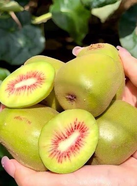正宗四川蒲江红心猕猴桃新鲜应季水果蒲江奇异果30个中大果5斤装