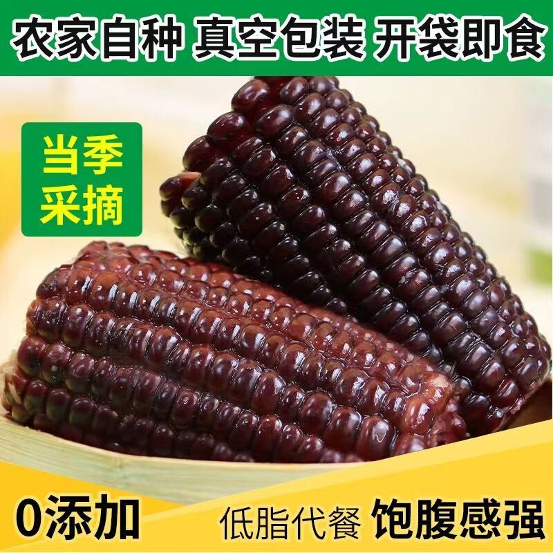 山西黑玉米新鲜现摘真空开袋免煮即食爆汁脆甜紫玉米宝宝早餐整箱