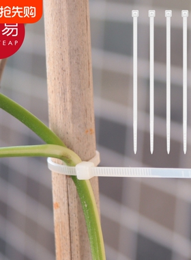 绑带/园艺A1vo001-绑花扎带植物固定定型捆绑带绿植枝干爬藤粘贴