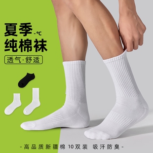 中筒袜纯棉长袜运动袜长筒袜短袜新疆棉防臭薄款 诸暨袜子男士 夏季