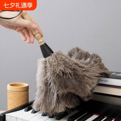 鸵鸟毛除尘掸子|超5000次加购