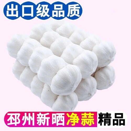 10斤大蒜特大果大蒜头网兜条装大蒜批发新鲜红皮产地直发新干蒜