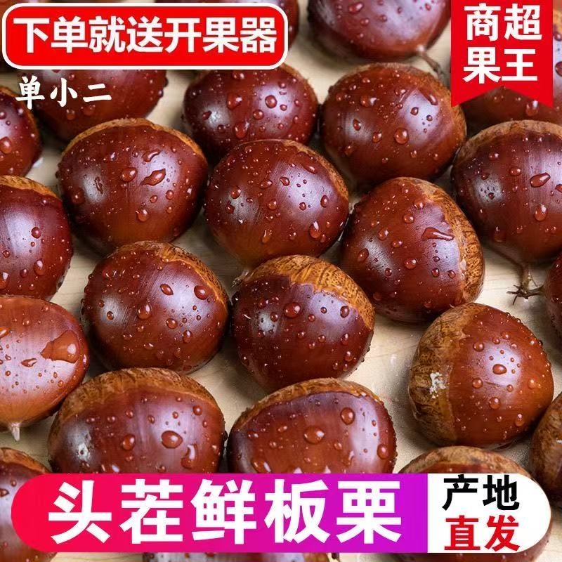 正宗丹东板栗当季新货新鲜板栗栗子高山农家毛栗子净重2.8/4.8斤