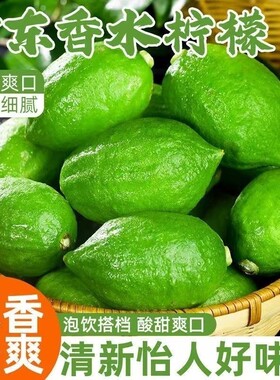 广东正宗香水无籽青柠檬当季新鲜
