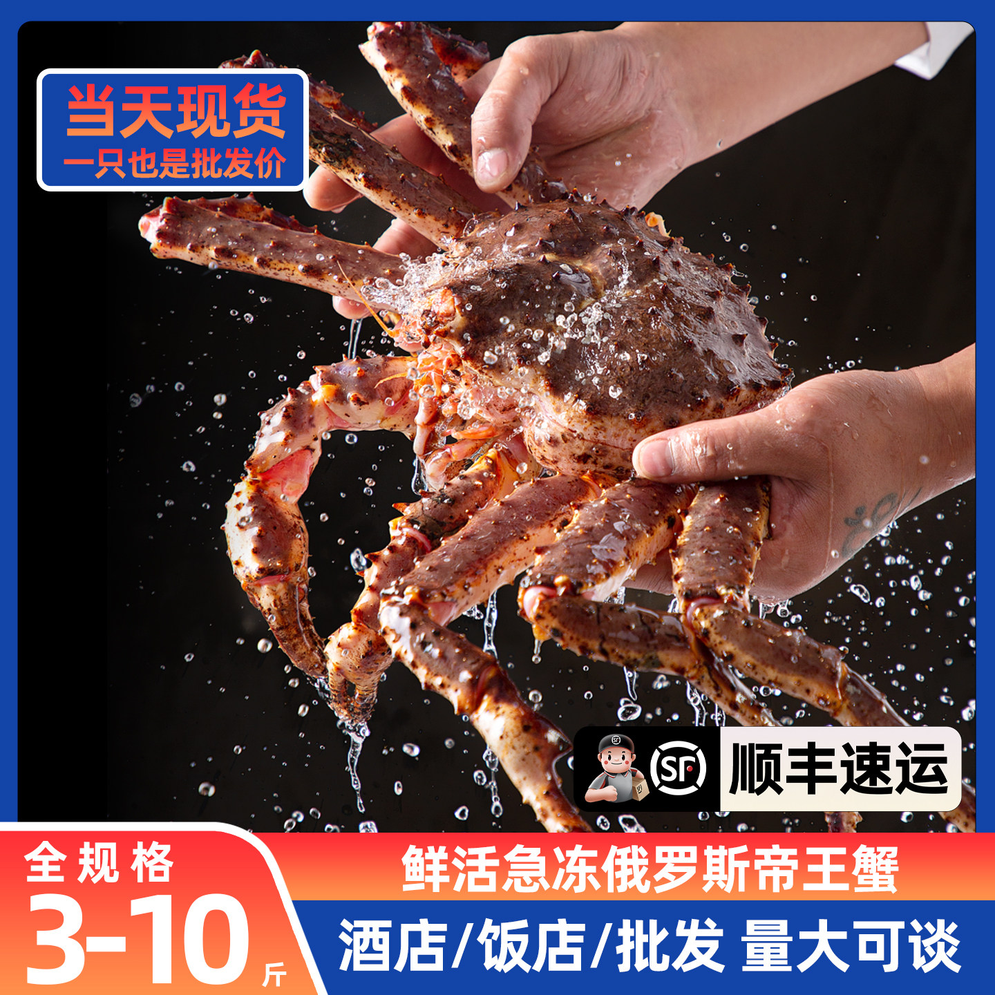 活冻俄罗斯帝王蟹鲜活速冻包肥图片