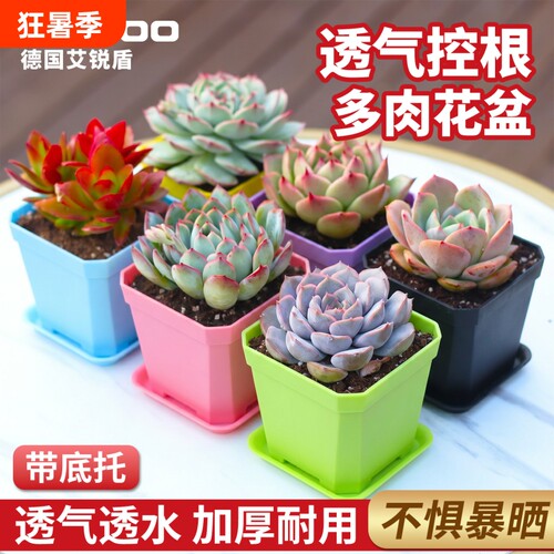 大号彩色方盆多肉植物育苗小花盆10cm大黑方塑料花盆方形托盘盆景