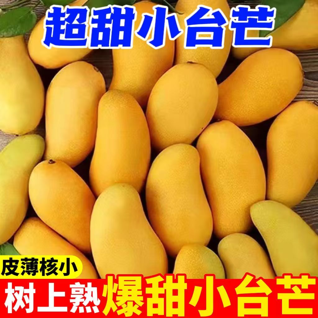 海南小台农芒果新鲜现摘小台芒应当季热带水果特产芒果包邮
