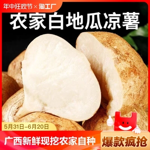 广西凉薯新鲜现挖农家自种白地瓜水果凉薯生吃豆薯蔬菜小番薯山芋