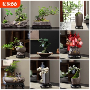 仿古复古室内室外创意盆景异形花盆小号特大号紫砂陶瓷绿植物台桌