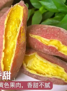 正宗板栗薯红薯新鲜现挖粉糯香甜无筋黄心番薯沙地板栗栗子王地瓜