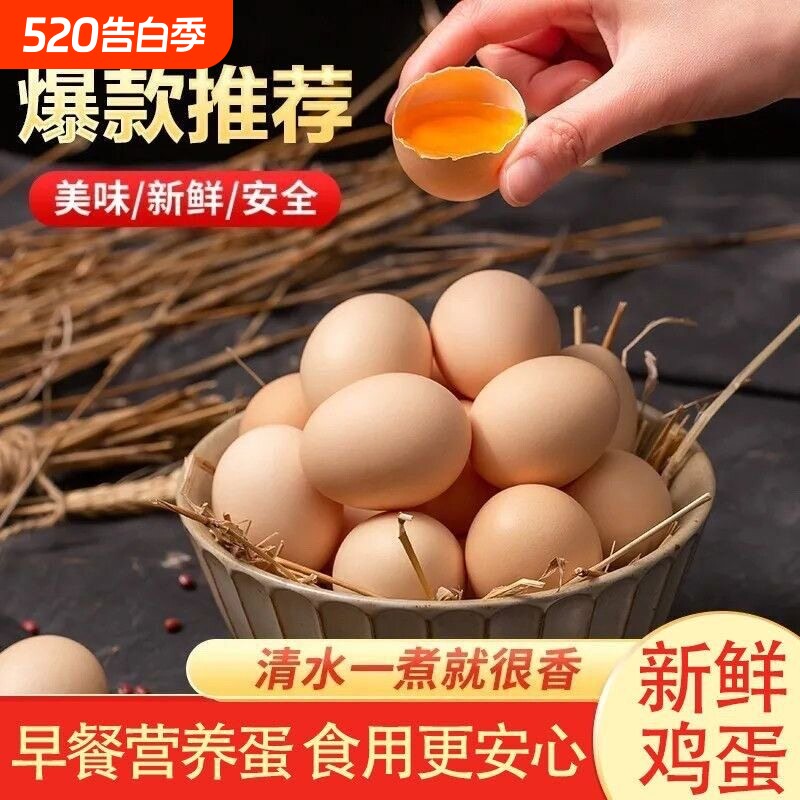 农家谷物新鲜鸡蛋正宗散养柴鸡蛋10枚笨鸡蛋土鸡蛋早餐营养月子蛋