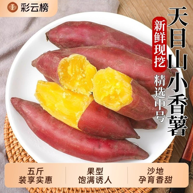 精选中果临安直发当季新果5斤装