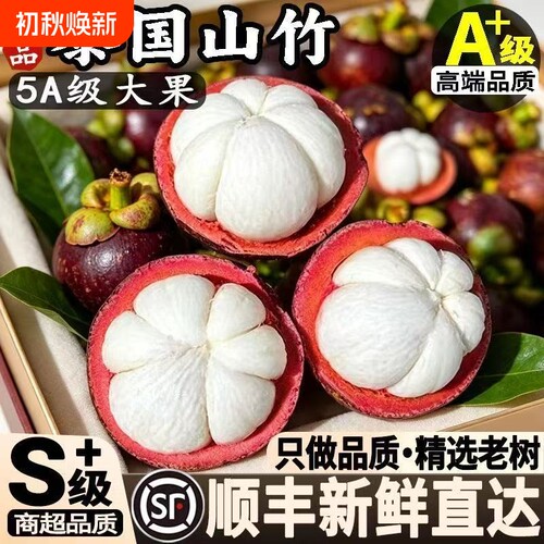 泰国进口新鲜山竹沙竹红竹