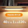 Exquisite aluminum ultra-thin-400mm charging model [Changliang+induction+magnetic suction]*warm light