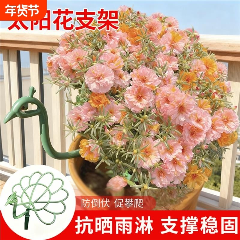孔雀造型支撑杆花架太阳支架多层支撑架棒棒糖固定架固定蟹爪植物,鲜花速递/花卉仿真/绿植园艺,花架,淘宝优惠券,粉丝福利购,淘宝优惠卷