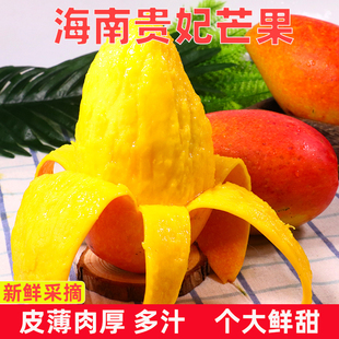 海南贵妃芒新鲜芒果应当季水果树上熟红金龙辣椒芒甜心芒大果整箱