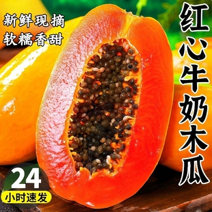 红心牛奶木瓜树上熟10斤新鲜孕妇水果当季冰糖心青皮木瓜现摘整箱