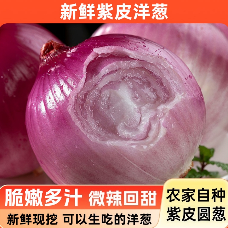 2025紫皮洋葱爽口大圆葱鲜嫩多汁无添加去腥增香洋葱3斤5斤装包邮