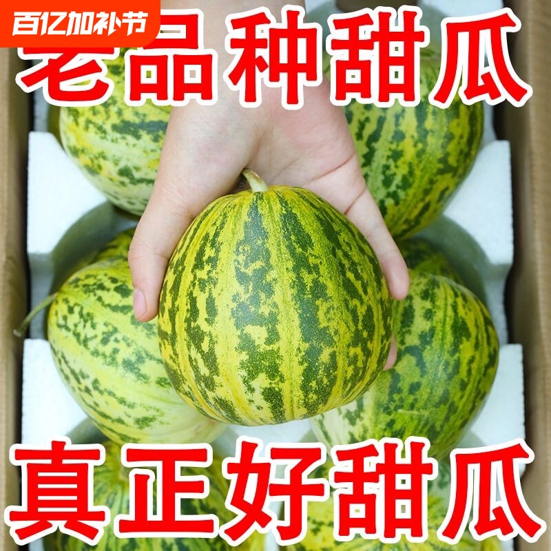 包邮东北特产八里香花姑娘香瓜新鲜花美人现摘应季时令孕妇水果