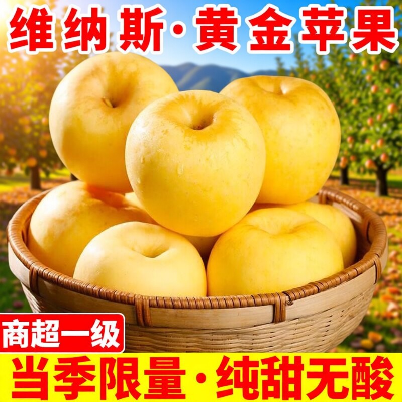 正宗山东维纳斯黄金苹果脆甜非黄元帅奶油富士丑新鲜当季苹果整箱