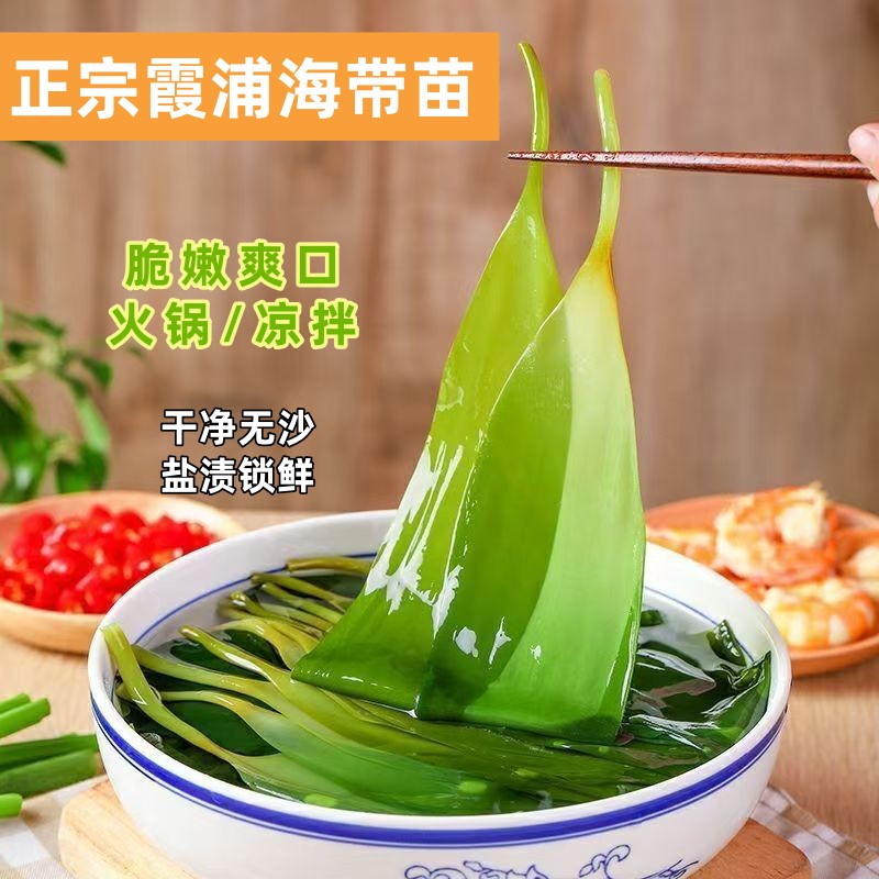 海带苗嫩干原切霞浦新鲜一级海带火锅天然嫩苗嫩芽海菜芽海鲜干货