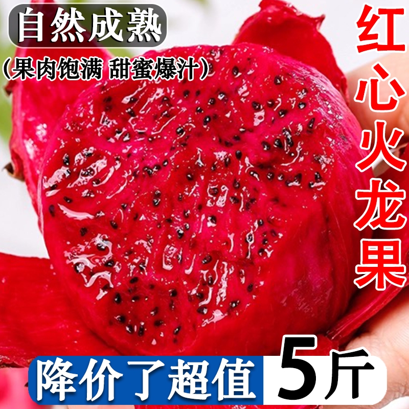 金都一号爆甜红心火龙果