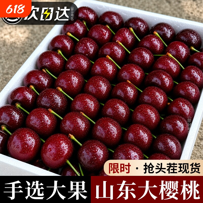 山东烟台大樱桃新鲜国产车厘子当季现摘大樱桃新鲜水果5斤顺丰